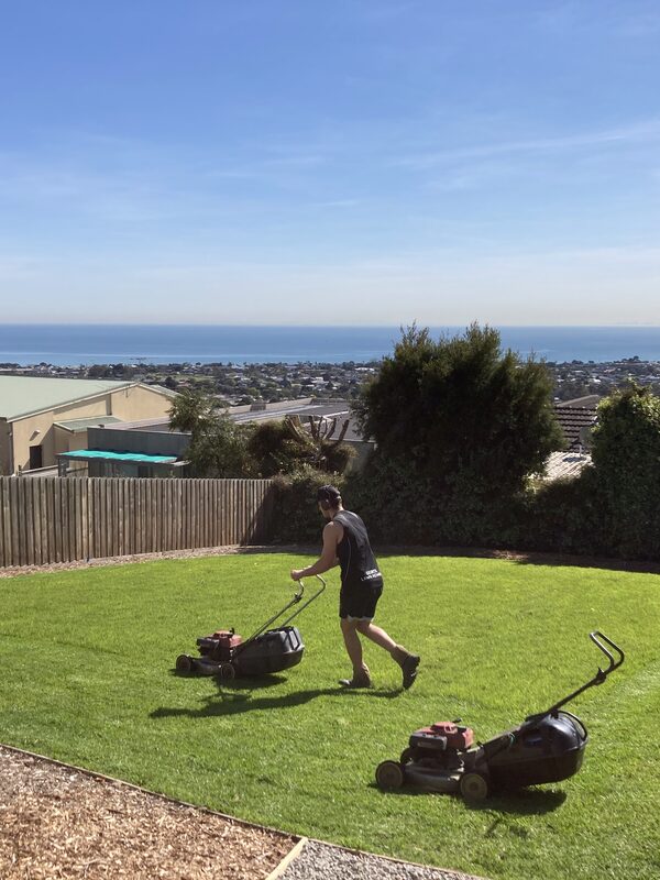 Neat hedge trimming along driveway