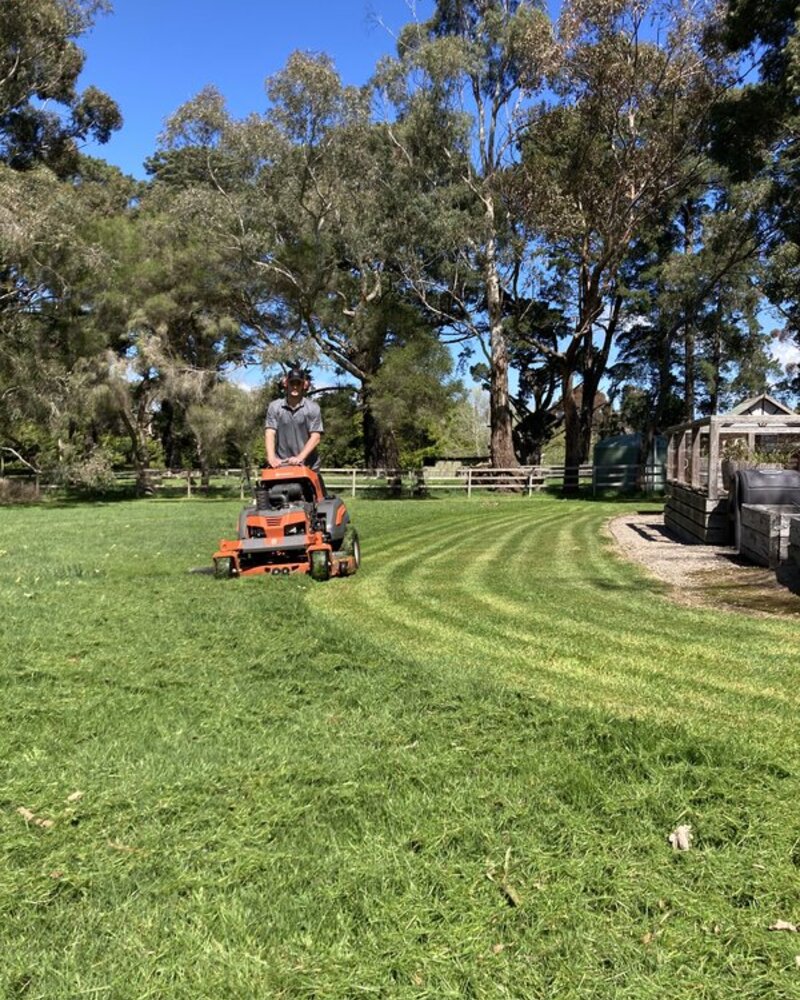 Freshly mowed large lawn on the Mornington Peninsula by Geurts Lawn Mowing